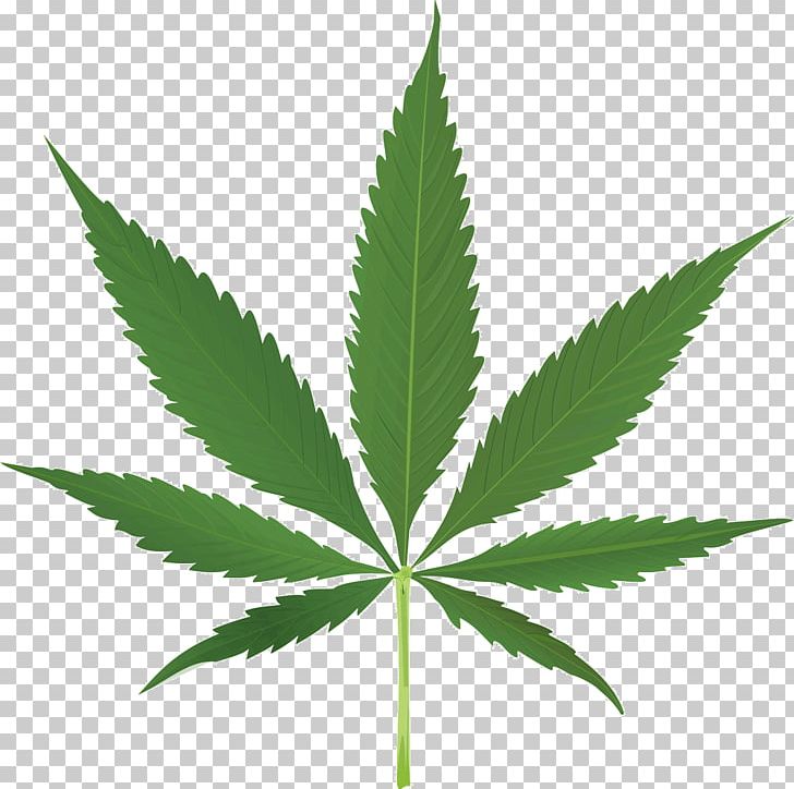 Cannabis Leaf PNG, Clipart, 420 Day, Bong, Cannabinol, Cannabis, Drug Free PNG Download