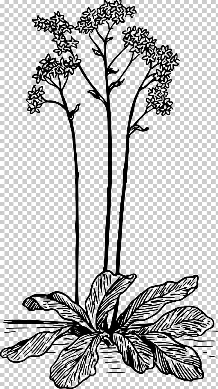 Floral Design Cut Flowers Flowering Plant Monochrome PNG, Clipart, Art, Black And White, Branch, Cut Flowers, Flora Free PNG Download