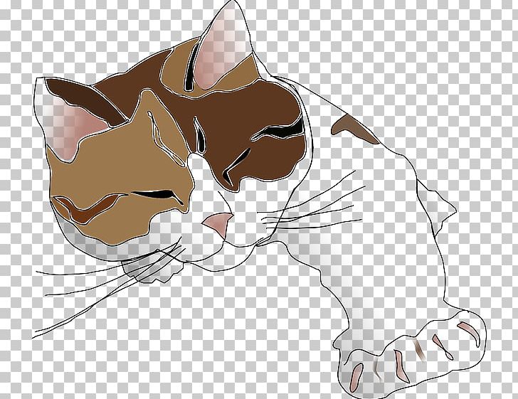 Kitten Sphynx Cat Siamese Cat Calico Cat PNG, Clipart, Animals, Calico, Calico Cat, Carnivoran, Cat Free PNG Download