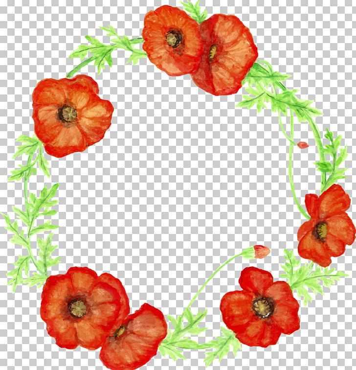 Flower Poppy Etsy Food PNG, Clipart, Art, Common Poppy, Craft, Cut Flowers, Diet Food Free PNG Download