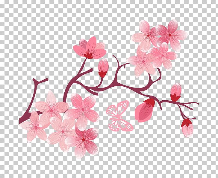 National Cherry Blossom Festival PNG, Clipart, Blossom, Branch, Business Card, Cartoon, Cartoon Peach Free PNG Download
