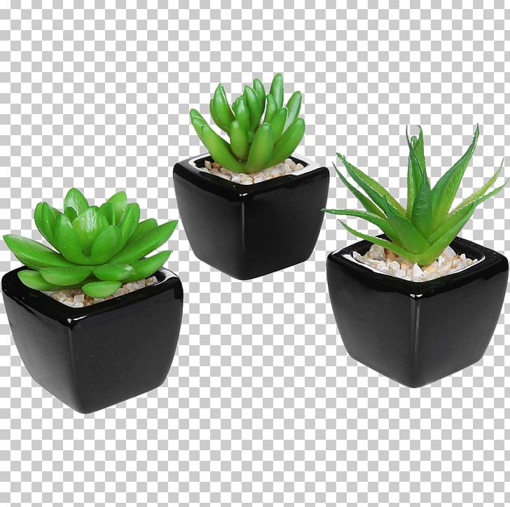 Succulent Plant Flowerpot Ceramic Artificial Flower PNG, Clipart, Agave, Aloe, Artificial Flower, Cactaceae, Cactus Free PNG Download