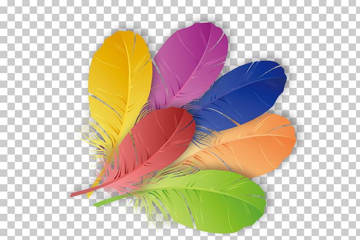The Floating Feather Color PNG, Clipart, Animals, Color, Colored, Color Pencil, Color Powder Free PNG Download