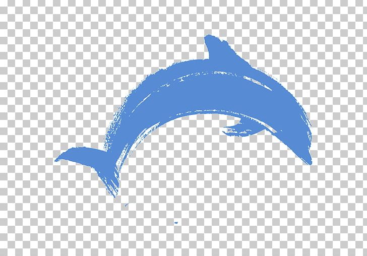Common Bottlenose Dolphin Fish Sky Plc Font PNG, Clipart, Animals, Blue, Bottlenose Dolphin, Ceredigion, Common Bottlenose Dolphin Free PNG Download