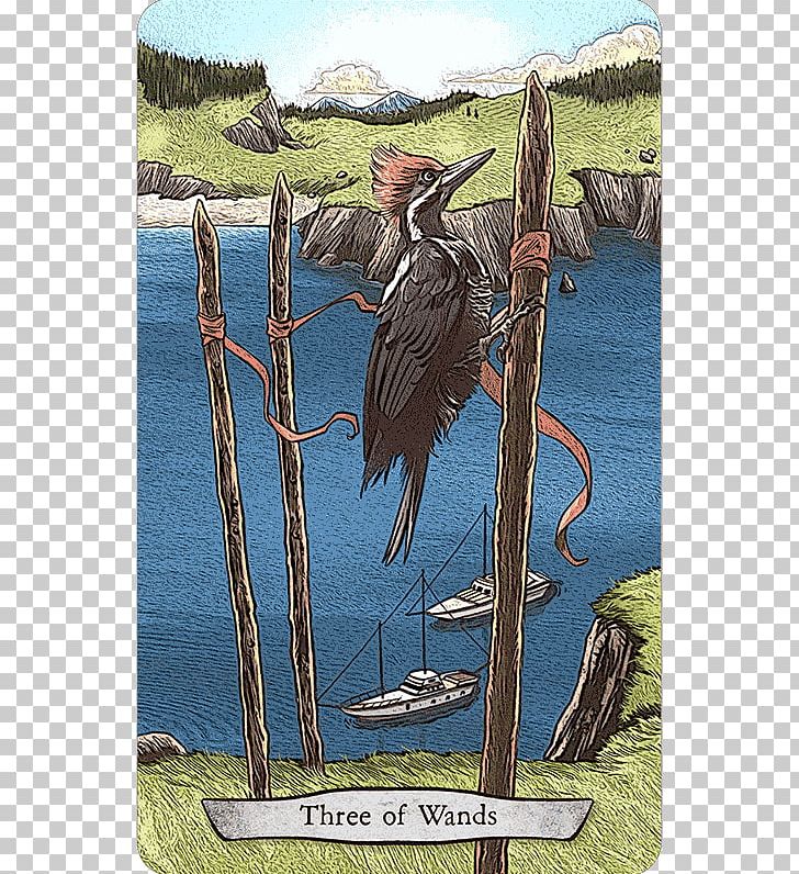 Three Of Wands Suit Of Wands Animal Tarot Animal-totem PNG, Clipart, Anim, Animal, Animaltotem, Animal Totem Tarot, Beak Free PNG Download