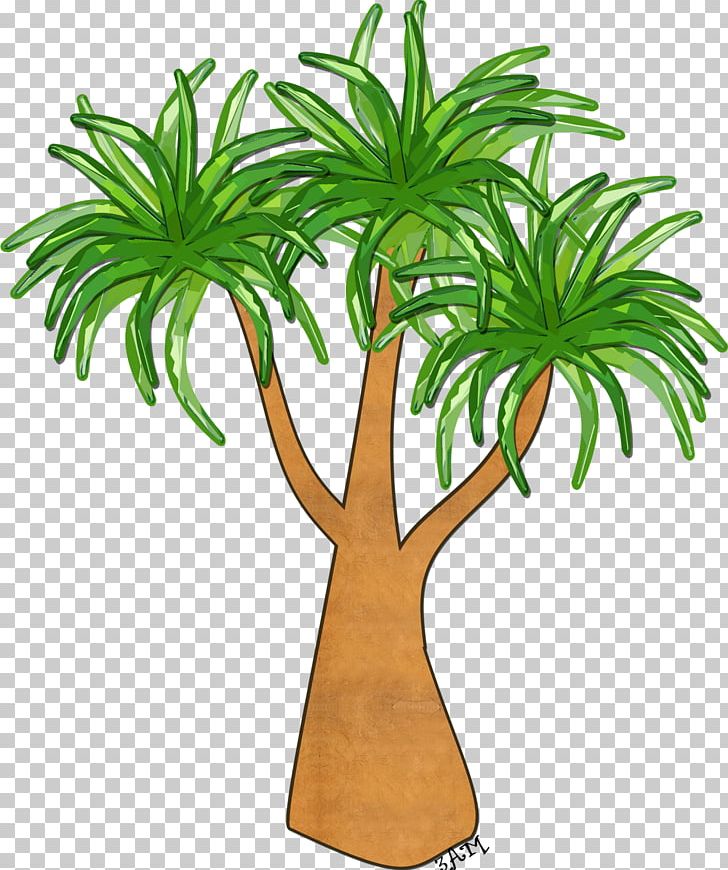 Tree Woody Plant Arecaceae Plant Stem PNG, Clipart, Arecaceae, Arecales, Flowering Plant, Flowerpot, Grass Free PNG Download