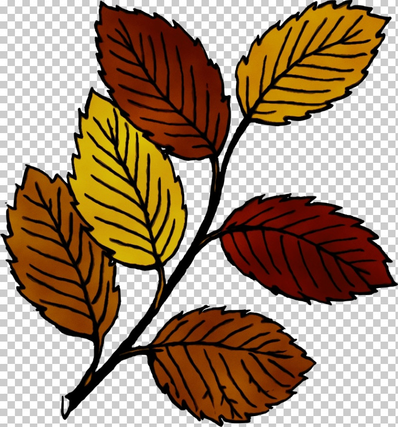 Drawing Leaf Autumn Leaf Color Cartoon Color PNG, Clipart, Autumn Leaf  Color, Cartoon, Color, Drawing, Leaf