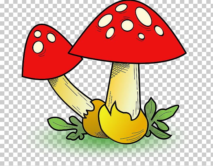 Fungus Edible Mushroom PNG, Clipart, Amanita, Amanita Muscaria, Apk, Artwork, Common Mushroom Free PNG Download