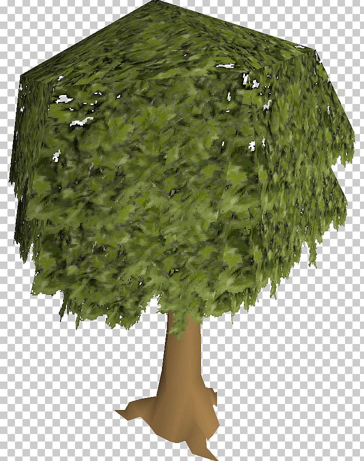 Old School RuneScape Tree Oak Woody Plant PNG, Clipart, Acorn, Container Garden, Eastern Hemlock, English Yew, Fruit Tree Free PNG Download