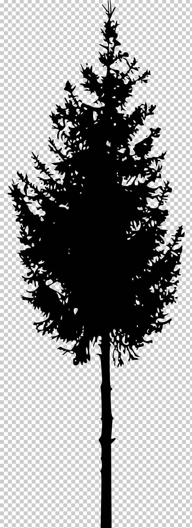 Tree Silhouette Woody Plant PNG, Clipart, Black And White, Branch, Christmas Tree, Conifer, Conifers Free PNG Download