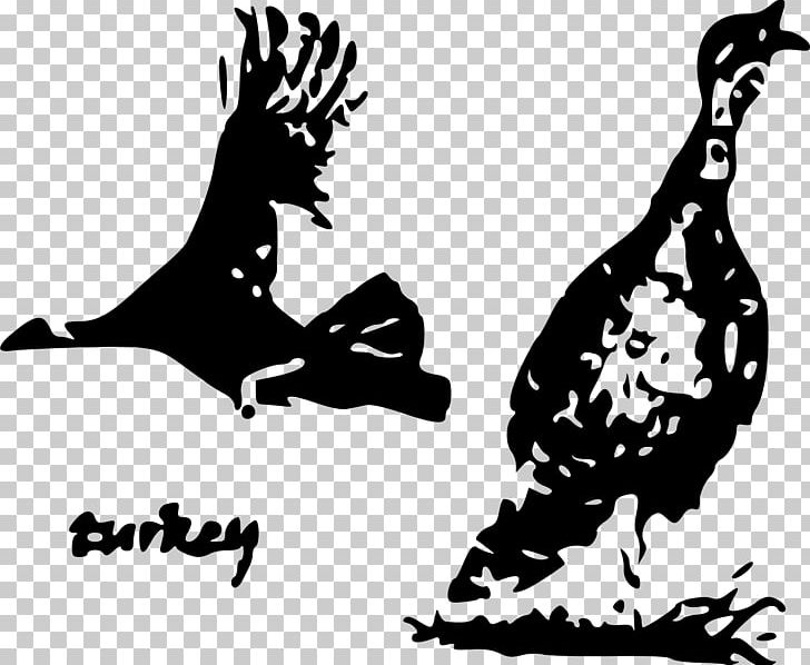 Turkey Meat Stencil PNG, Clipart, Animals, Art, Beak, Bird, Black Free PNG Download