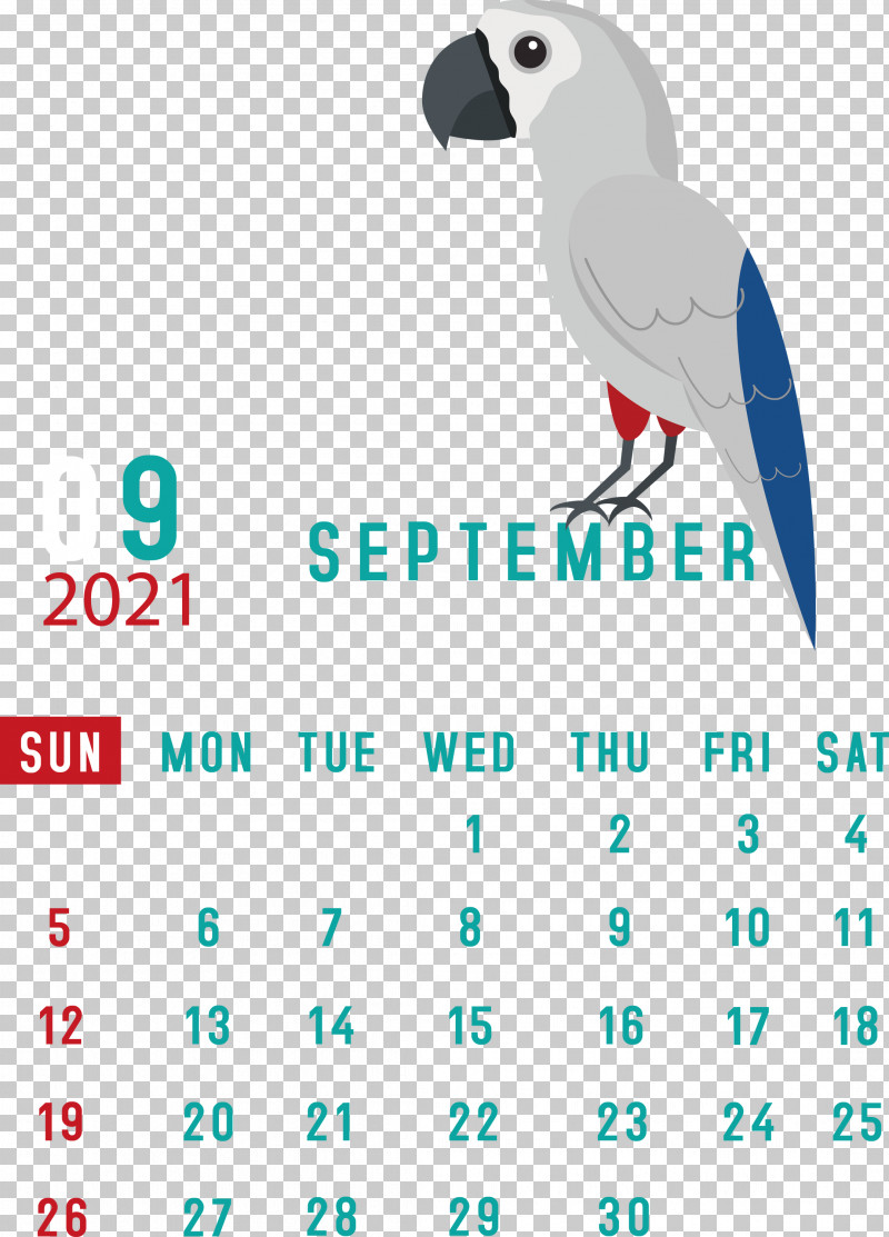 September 2021 Printable Calendar September 2021 Calendar PNG, Clipart, Android, Beak, Birds, Calendar System, Line Free PNG Download