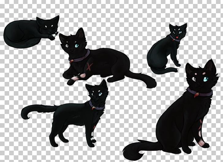 Black Cat Kitten Domestic Short-haired Cat Whiskers PNG, Clipart, Animals, Black Cat, Bombay, Carnivoran, Cat Free PNG Download