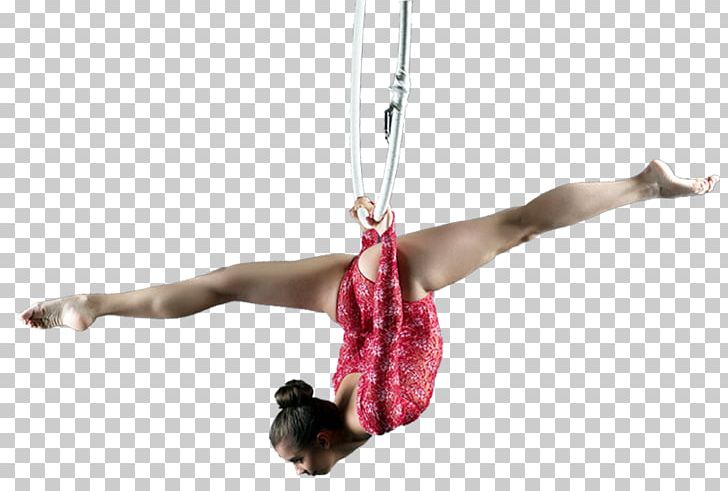 Circus Acrobatics Trapeze Performing Arts Gymnastics PNG, Clipart, Acrobatics, Adult, Arm, Arts, Circus Free PNG Download