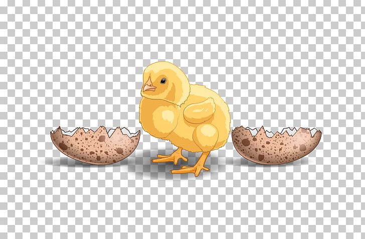 Duck Beak Chicken As Food PNG, Clipart, Beak, Bird, Chicken, Chicken As Food, Duck Free PNG Download