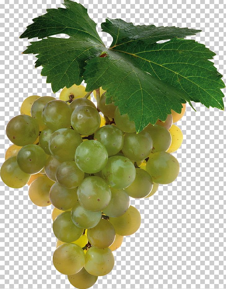 Shiraz Cabernet Sauvignon Sauvignon Blanc Wine Grape PNG, Clipart, Cabernet Sauvignon, Common Grape Vine, Desktop Wallpaper, Food, Fruit Free PNG Download