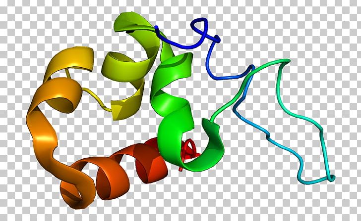 EPB49 Protein DISC1 Gene Red Blood Cell PNG, Clipart, Actin, Actinbinding Protein, Biochemistry, Dna, Ensembl Free PNG Download
