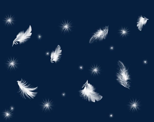 Feather Down PNG, Clipart, Cold, Creative, Creative White Feathers, Creative Winter, Down Free PNG Download