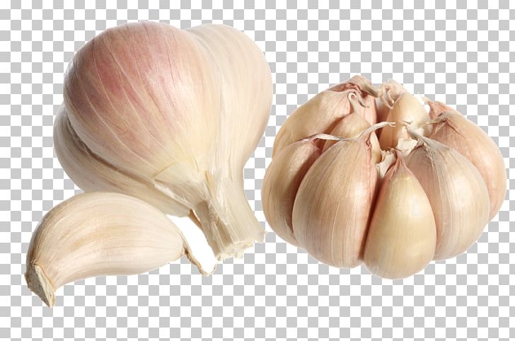 Garlic Bread Clove Shallot Elephant Garlic PNG, Clipart, Allium, Bulb, Clove, Condiment, Daughter Free PNG Download