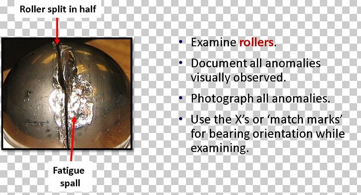 Rolling-element Bearing Spall Seal Fatigue PNG, Clipart, Bearing, Causality, Describe, Document, Expose Free PNG Download