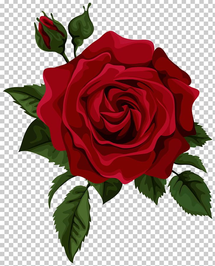 Rose Flower Red Euclidean PNG, Clipart, Art, Clipart, Cut Flowers, Drawing, Floral Design Free PNG Download