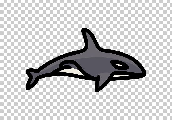 Common Bottlenose Dolphin Porpoise Killer Whale PNG, Clipart, Animals, Automotive Design, Black, Black And White, Black M Free PNG Download