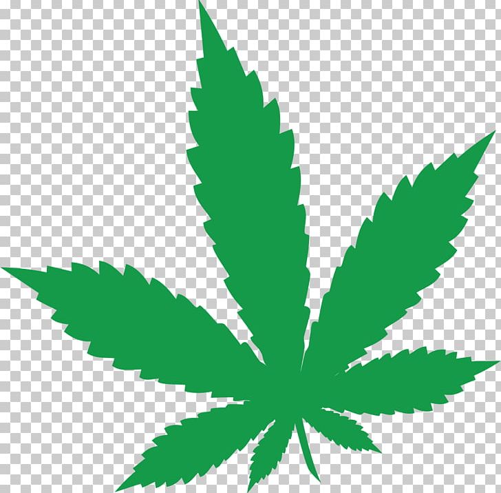 Medical Cannabis Cannabidiol Dispensary Kong Force PNG, Clipart, Cannabidiol, Cannabis, Dispensary, Grass, Hashish Free PNG Download
