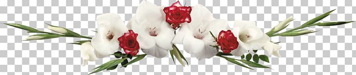 .sz .de .il .am Bokmärke PNG, Clipart, Cut Flowers, Flora, Floral Design, Floristry, Flower Free PNG Download