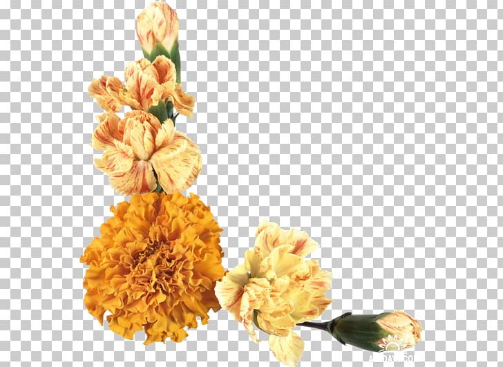 Cut Flowers PNG, Clipart, Albom, Cut Flowers, Data Compression, Desktop Wallpaper, Floral Design Free PNG Download