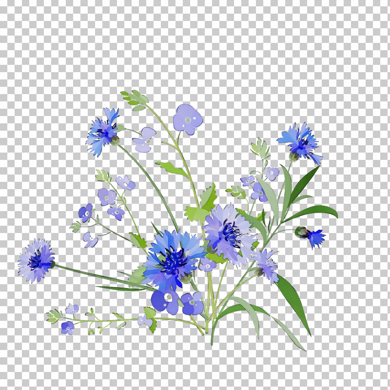 Lavender PNG, Clipart, Alpine Forgetmenot, Bellflower Family, Borage Family, Delphinium, Flower Free PNG Download
