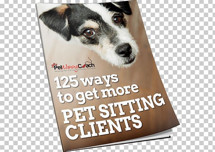 Dog Breed Pet Sitting Companion Dog PNG, Clipart, Advertising, Breed, Business, Christmas Pets, Companion Dog Free PNG Download