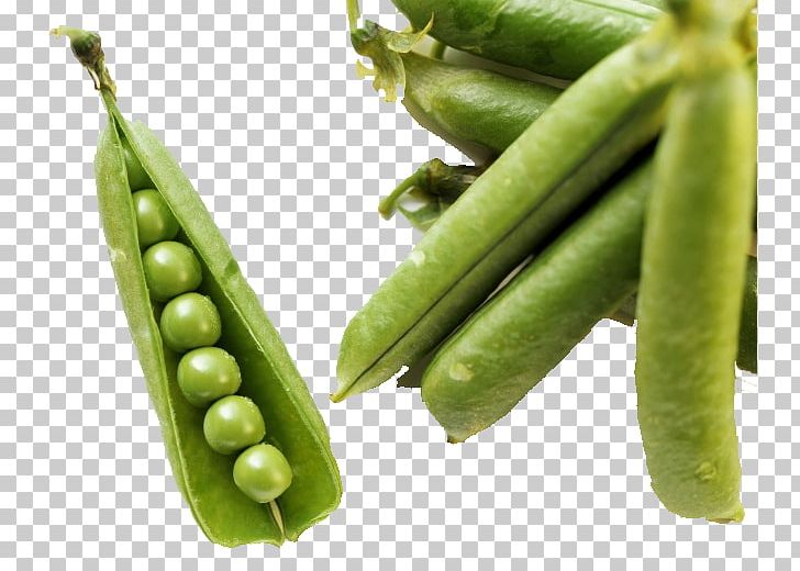 Green Bean Vegetable Food Common Bean PNG, Clipart, Bean, Butterfly Pea, Eating, Edamame, Food Free PNG Download