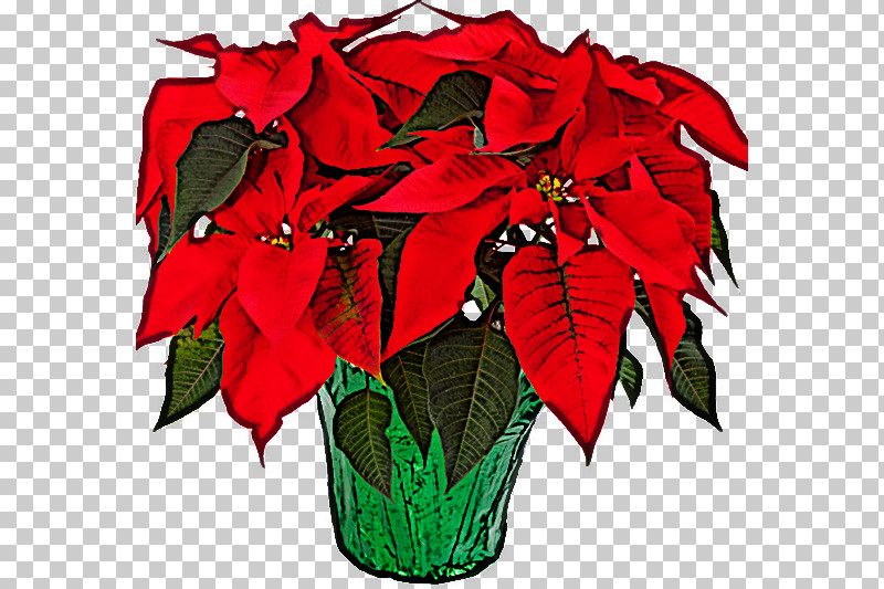 Flower Red Poinsettia Plant Leaf PNG, Clipart, Anthurium, Cut Flowers, Flower, Flowerpot, Leaf Free PNG Download