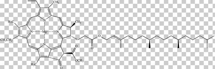 Chlorophyll Fluorescence Light Chlorophyll Fluorescence Chemical Compound PNG, Clipart, Angle, Arm, Black And White, Blacklight, Branch Free PNG Download