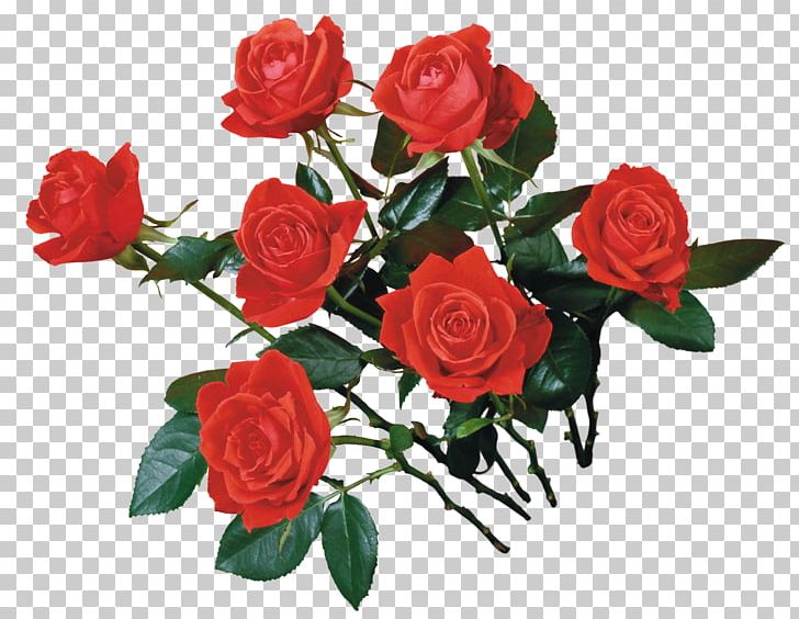 Garden Roses Flower Bouquet Portable Network Graphics PNG, Clipart, Artificial Flower, Cut Flowers, Drawing, Floral Design, Floribunda Free PNG Download