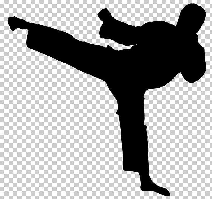 Chinese Martial Arts Karate Taekwondo Kuk Sul Do PNG, Clipart, Aikido, Arm, Black And White, Chinese Martial Arts, Defense Free PNG Download