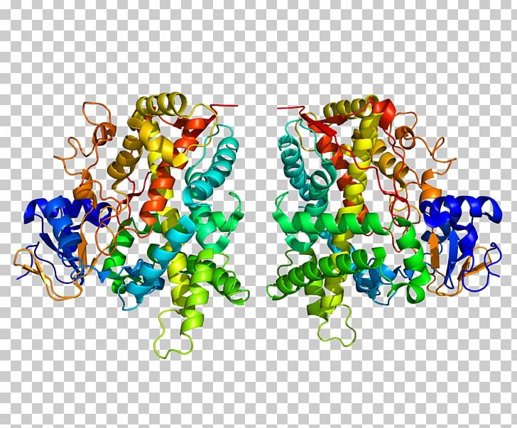 CYP2E1 GeneCards Cytochrome P450 CYP2C19 PNG, Clipart, Art, Cyp1a2, Cyp2c9, Cyp2c19, Cyp2e1 Free PNG Download