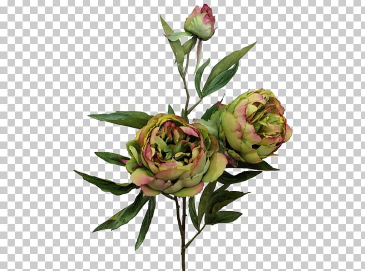 Garden Roses Flowerpot Plastic IKEA Cachepot PNG, Clipart, Bud, Cachepot, Common Water Hyacinth, Crock, Cut Flowers Free PNG Download