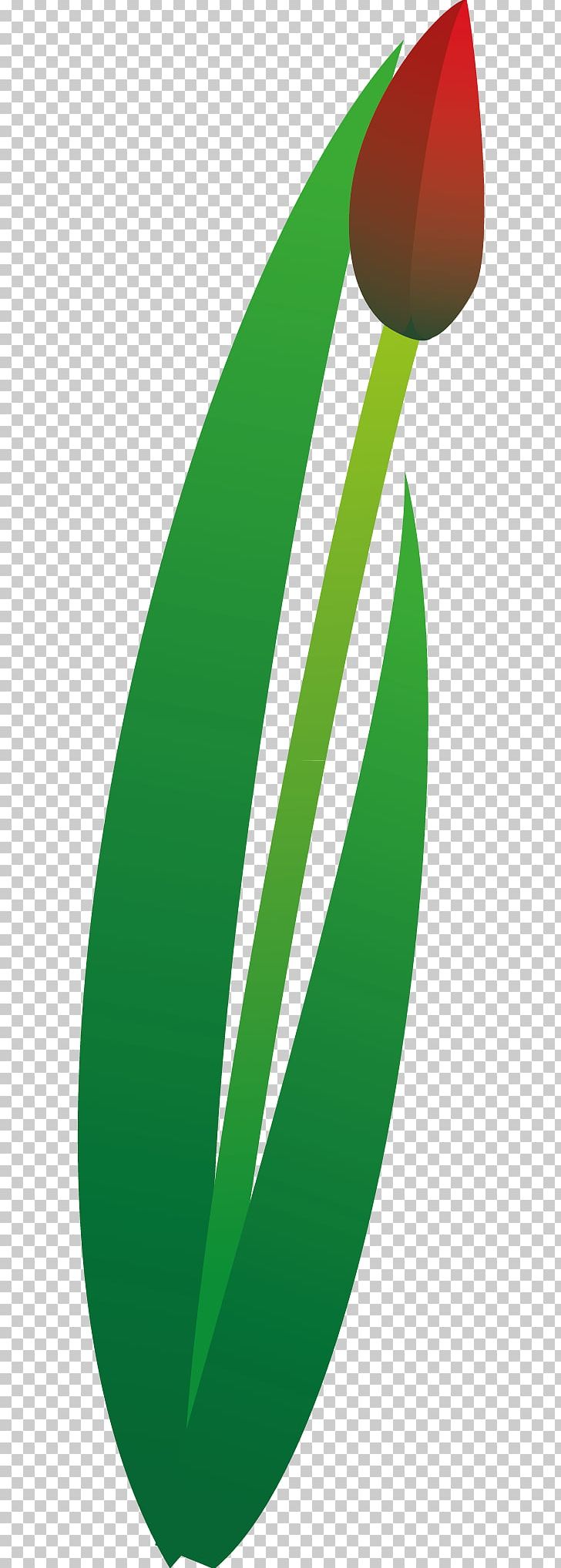 Leaf Green PNG, Clipart, Grass, Green, Leaf, Plant, Tulips Free PNG Download