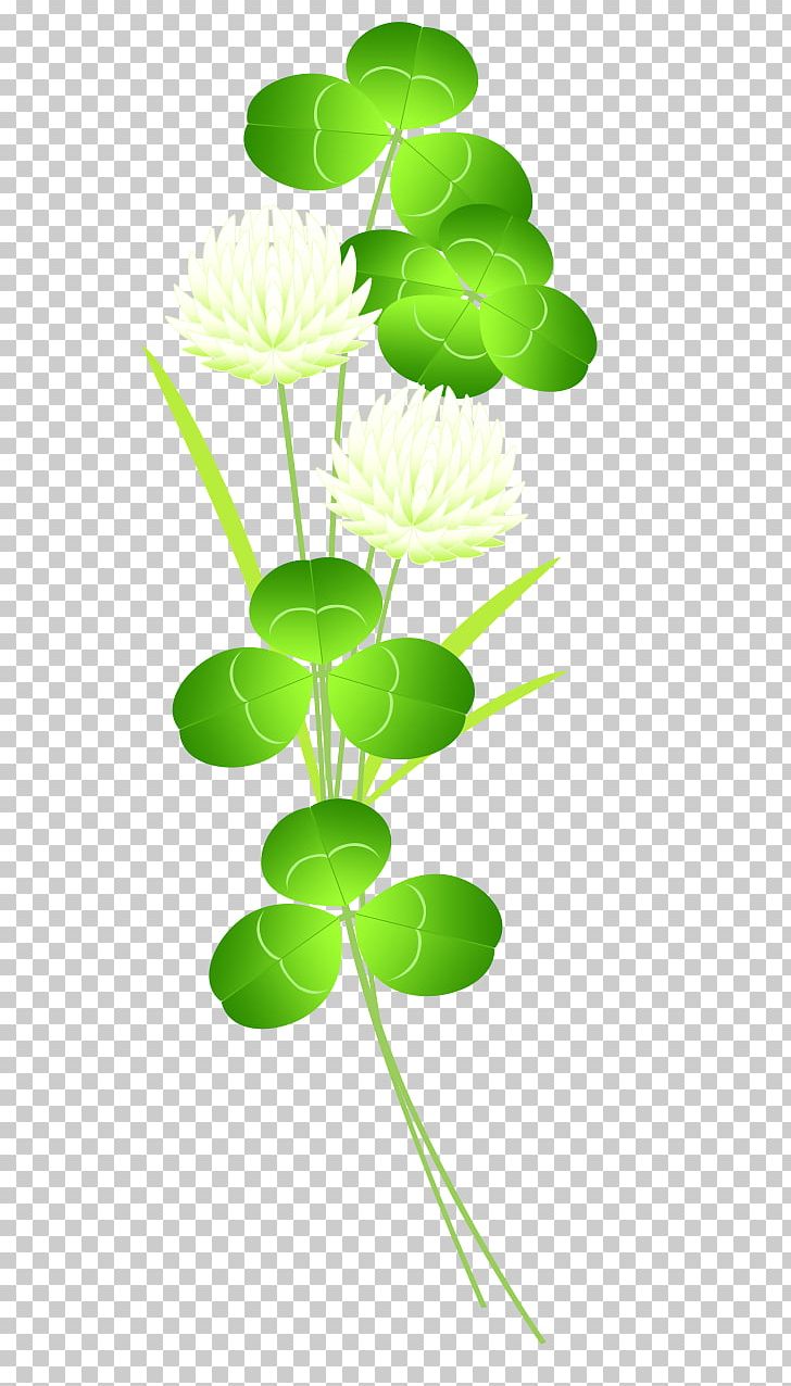 Plant Stem Leaf Branching PNG, Clipart, Branch, Branching, Flora, Grass, Green Free PNG Download