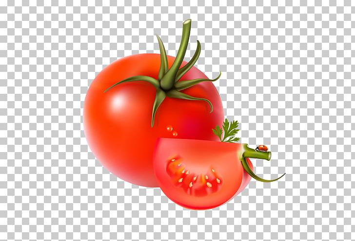 Vegetable Fruit Bell Pepper Chili Pepper PNG, Clipart, Bush Tomato, Cherry Tomato, Encapsulated Postscript, Food, Garlic Free PNG Download