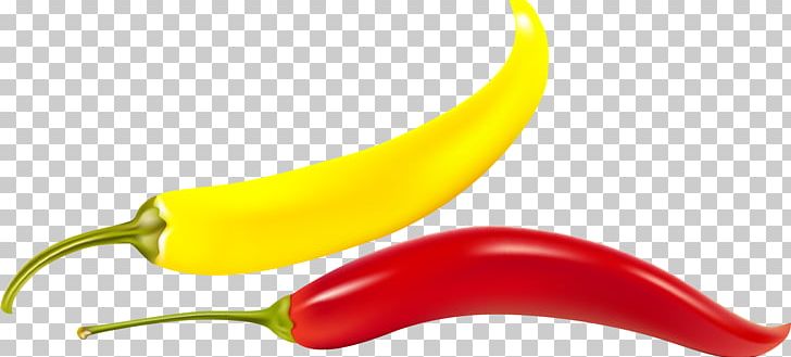 Bell Pepper Chili Pepper Cayenne Pepper Serrano Pepper Vegetable PNG, Clipart, Bell Pepper, Bell Peppers And Chili Peppers, Black Pepper, Capsicum, Capsicum Annuum Free PNG Download