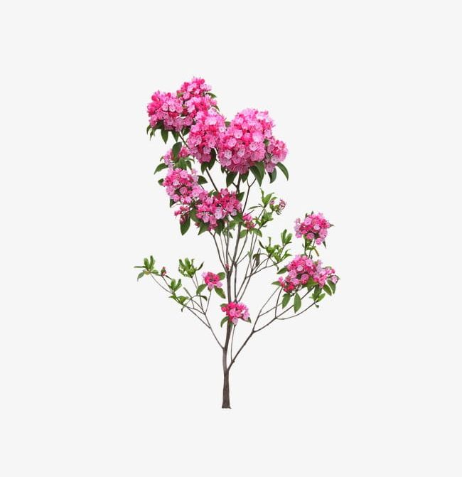 Landscape Flowers And Trees PNG, Clipart, Flowers, Flowers Clipart, Garden, Landscape, Landscape Clipart Free PNG Download
