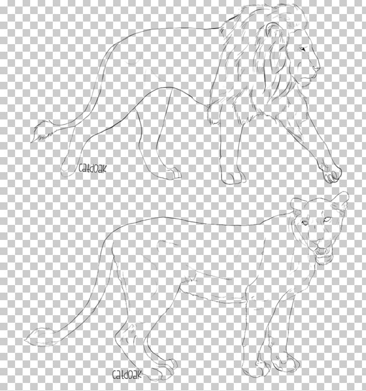 Lion Big Cat Whiskers Sketch PNG, Clipart, Animal, Animal Figure, Animals, Artwork, Big Cat Free PNG Download