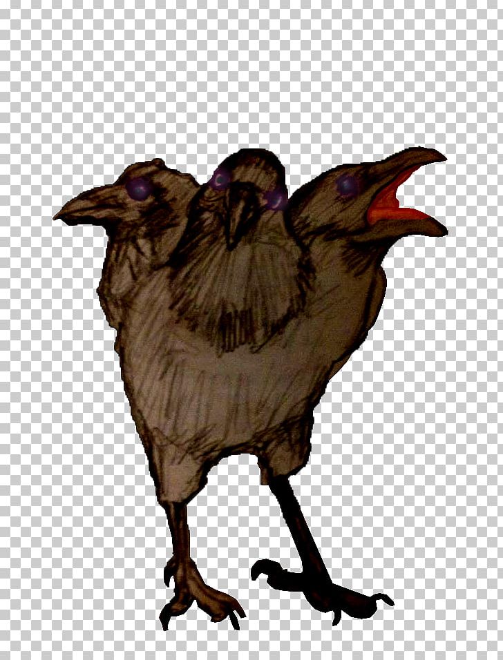 Beak Crow Chicken As Food PNG, Clipart, Animals, Beak, Bet, Bird, Buddy Free PNG Download