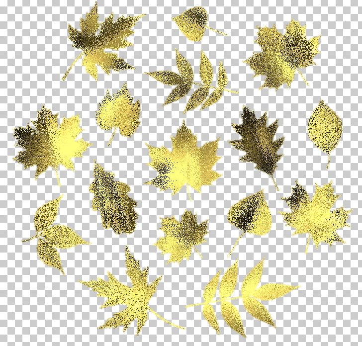 Leaf Encapsulated PostScript Petal PNG, Clipart, Arka Plan Resimler, Branch, Chrysanthemum, Chrysanths, Coreldraw Free PNG Download