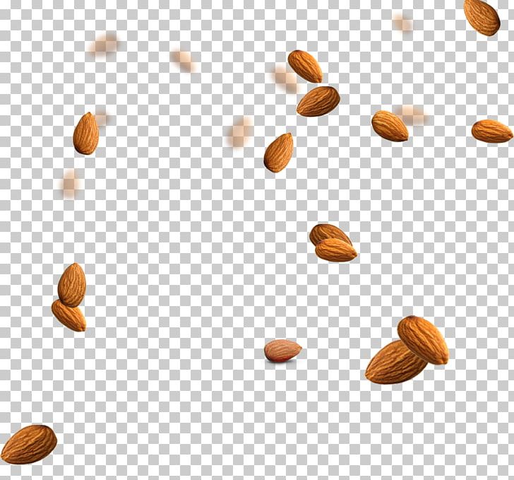 Almond Nucule Icon PNG, Clipart, Almond, Almond Milk, Almond Nut, Almond Nuts, Almond Pudding Free PNG Download