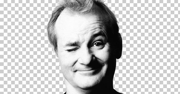 Bill Murray Garfield: The Movie Baloo Actor Film PNG, Clipart, Abstract Art, Actor, Baloo, Bill, Celebrities Free PNG Download