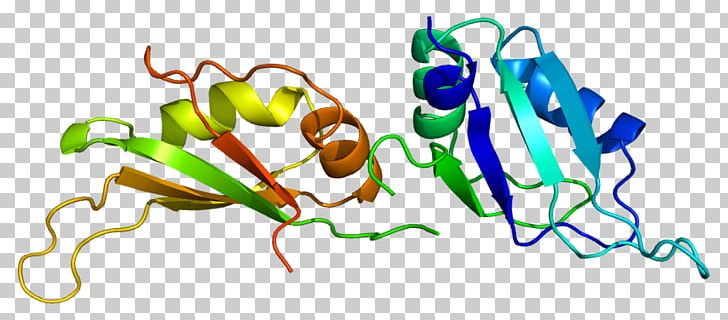 HNRNPA1 Homogeneous And Heterogeneous Mixtures Heterogeneous Ribonucleoprotein Particle PNG, Clipart, Art, Artwork, Food, Gene, Hnrnpa1 Free PNG Download