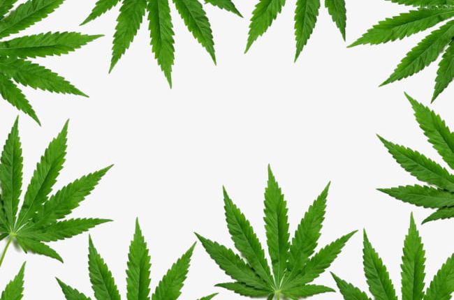 Marijuana Leaf Border